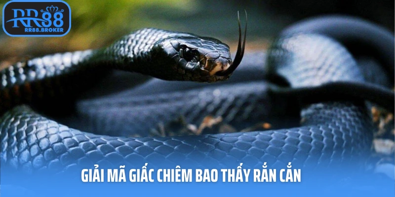 Giải mã giấc chiêm bao thấy rắn cắn